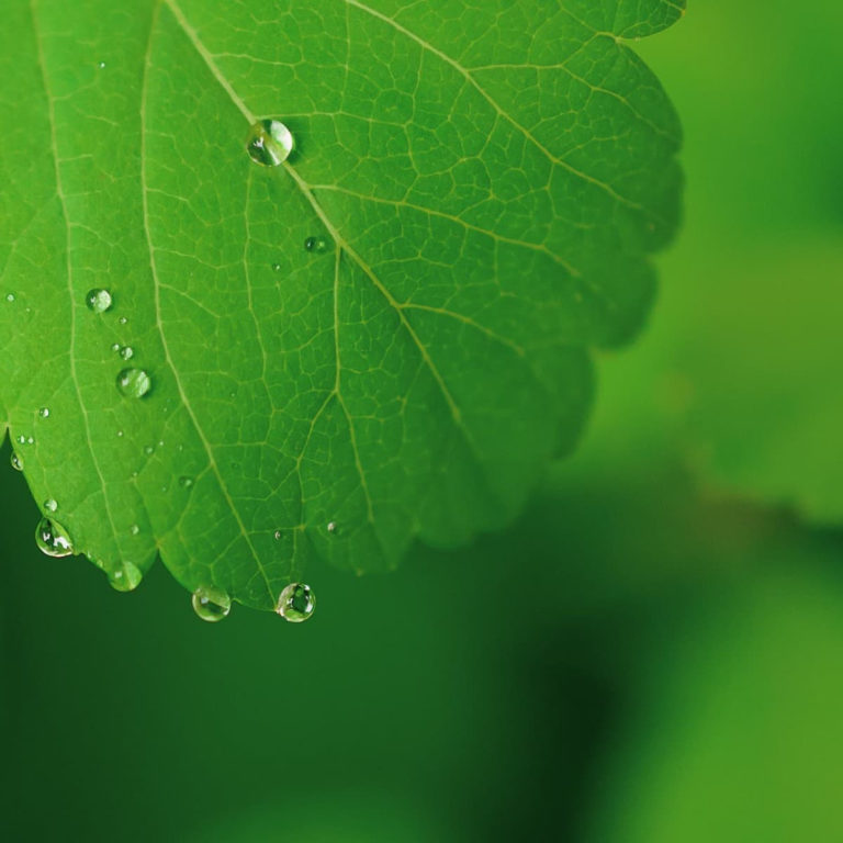 ????Feeling Insignificant?