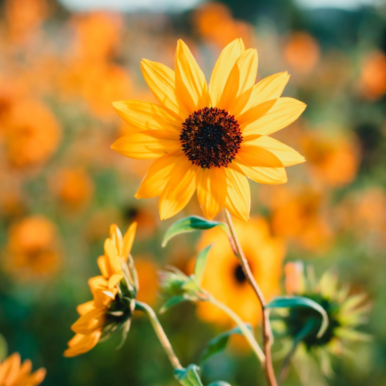 Prayer For God’s Blessings