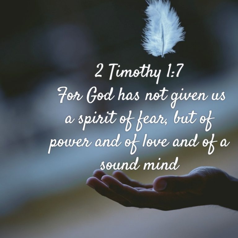 What Is Your Favorite Bible Verse?