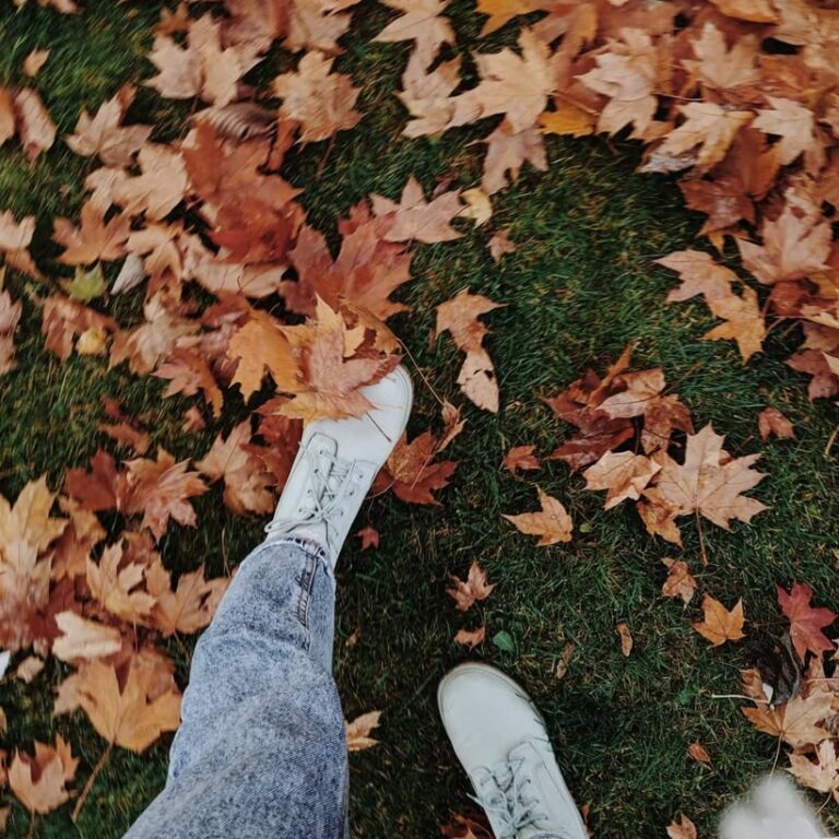 Prayer for Blessing on Your Family this Fall