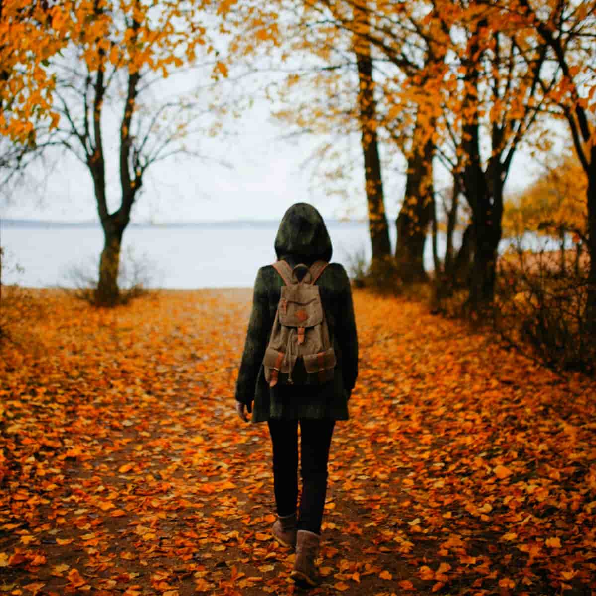 Prayer For Faith To Walk In New Paths